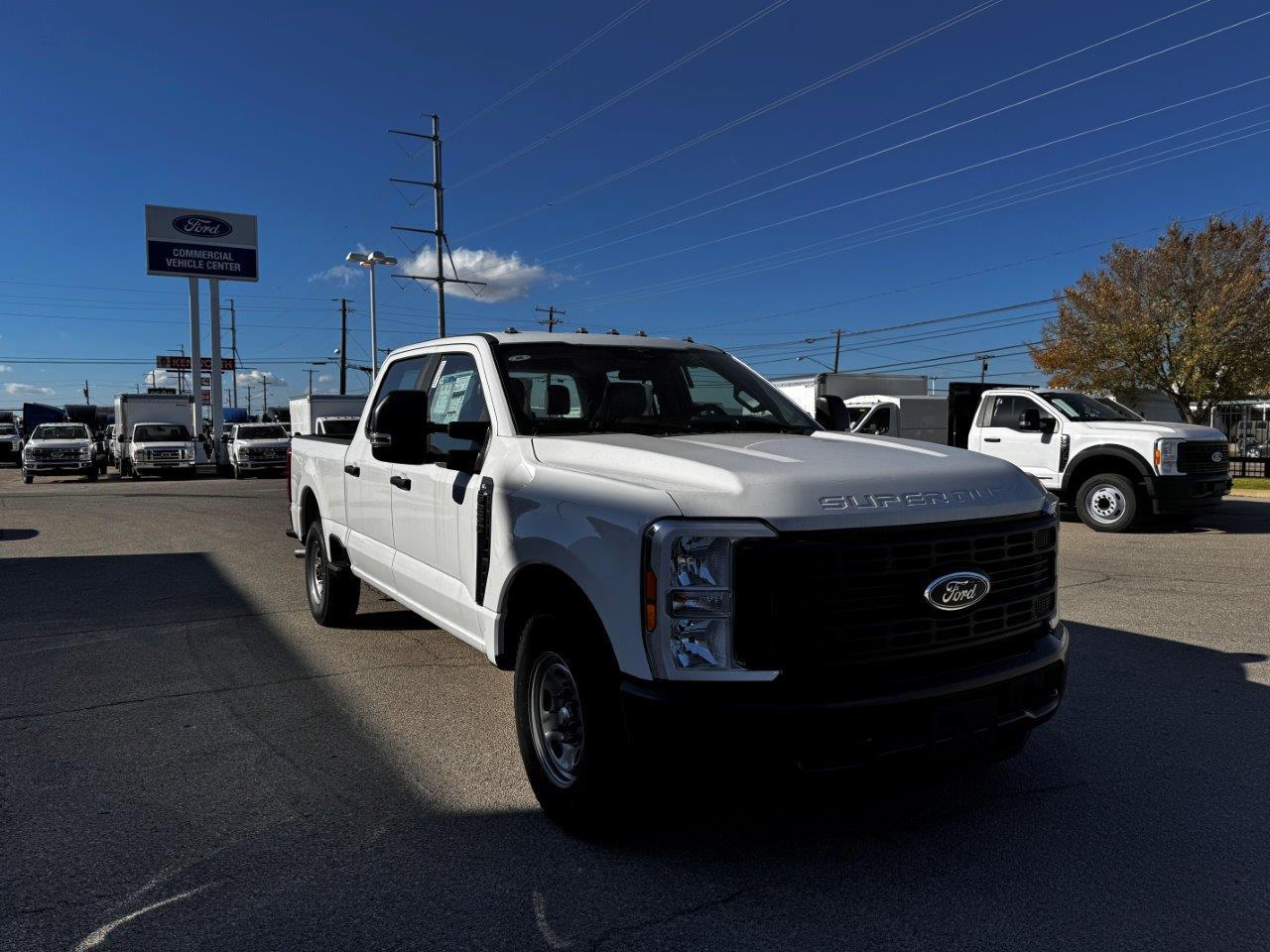 2023 Ford F-250 Crew Cab 4x2, Pickup for sale #1660824 - photo 6