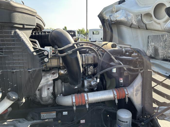 2021 Freightliner Cascadia-21