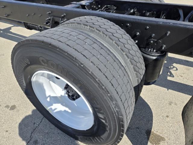 2019 International MV607-17