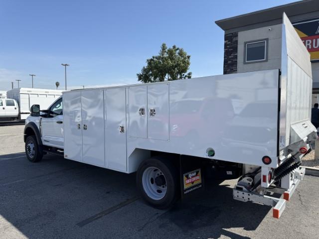 2025 Ford F-550-2
