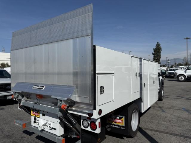 2025 Ford F-550-5