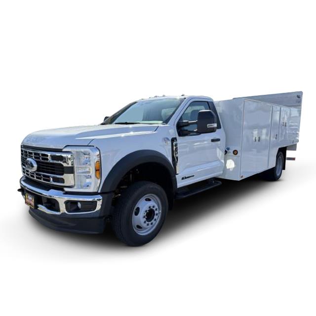 2025 Ford F-550-0