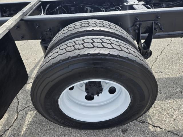 2019 International MV607-16