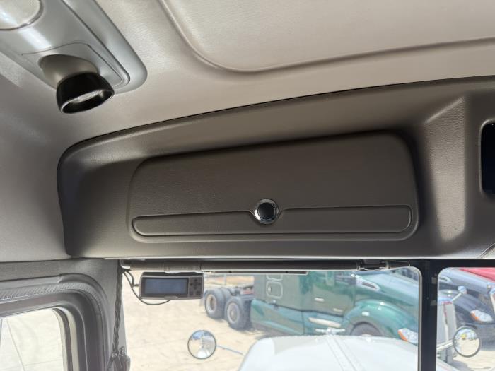 2019 Peterbilt 389-9