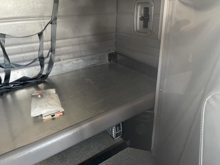 2019 Peterbilt 389-19