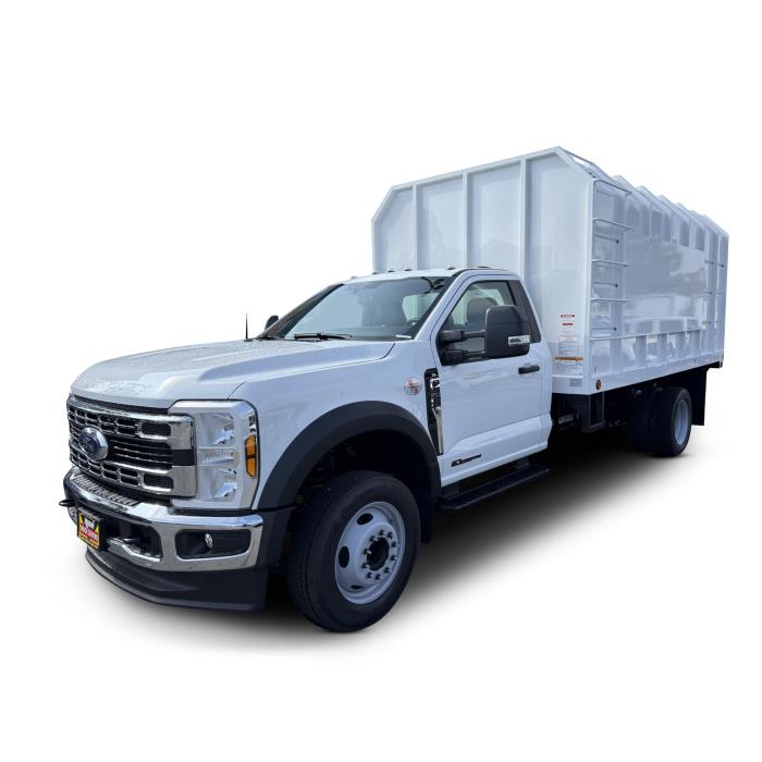 2025 Ford F-550-29