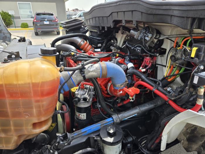 2019 International MV607-21