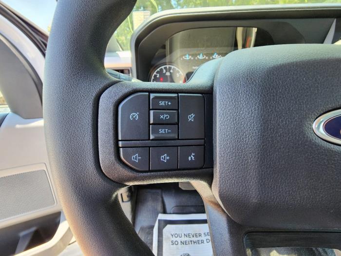 2025 Ford F-250-16