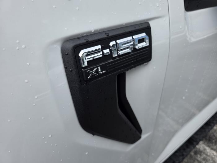 2025 Ford F-150-10