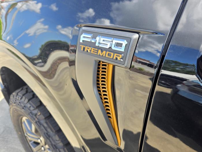 2025 Ford F-150-11