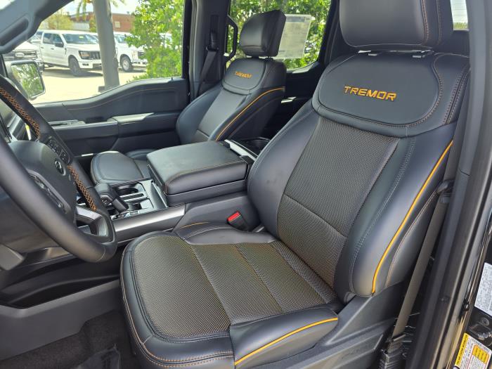 2025 Ford F-150-15