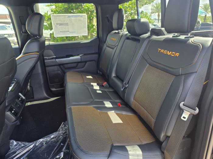 2025 Ford F-150-23
