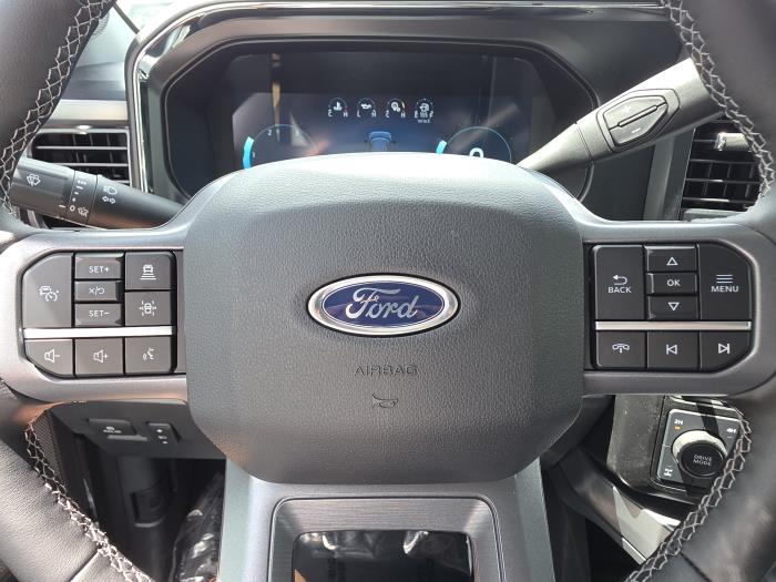 2025 Ford F-250-12