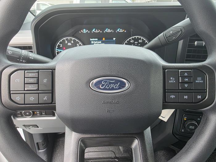 2025 Ford F-250-17