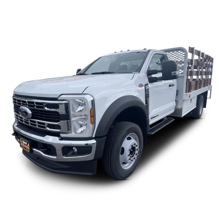 2025 Ford F-550-0