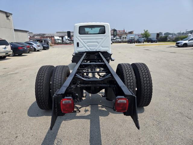 2019 International MV607-6