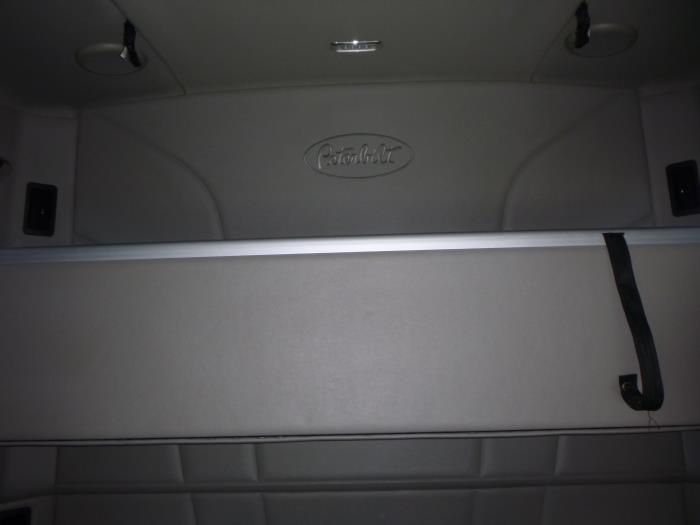 2021 Peterbilt 579-24