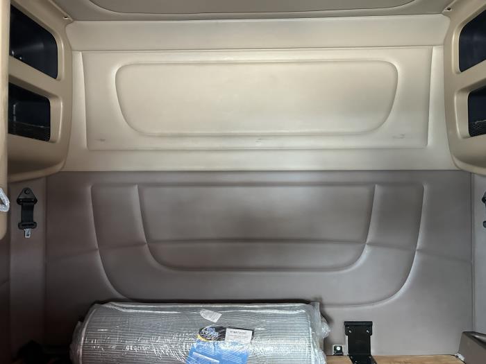 2020 Peterbilt 389-29