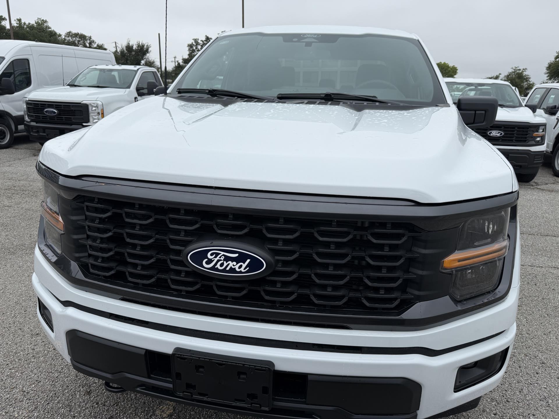 2025 Ford F-150 SuperCrew Cab 4x4 Pickup for sale #1933268 - photo 4