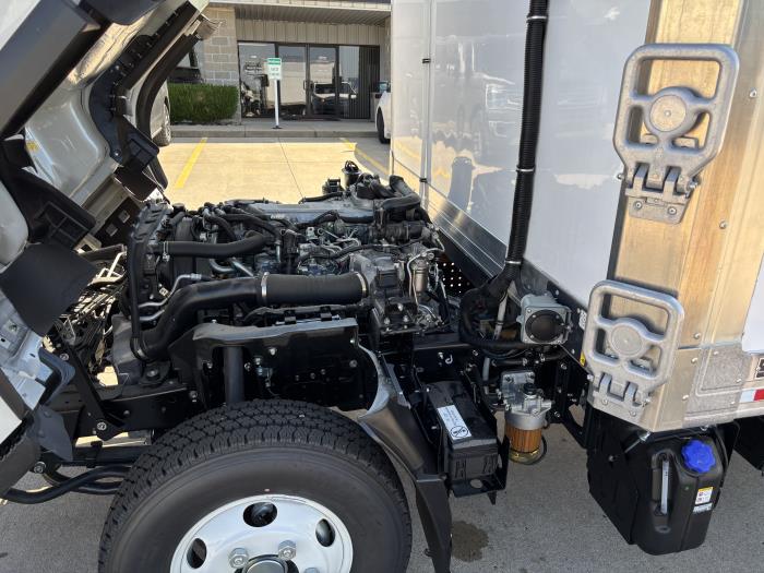 2025 Isuzu NPR-HD-12