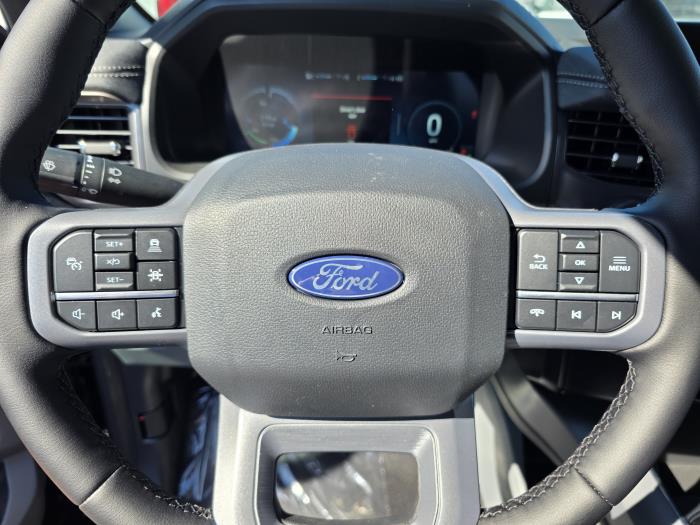 2025 Ford F-150 Lightning-18