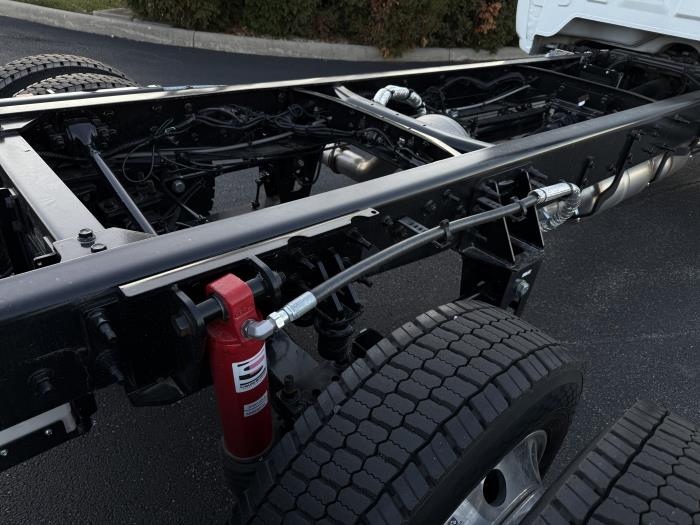 2024 International CV515-8