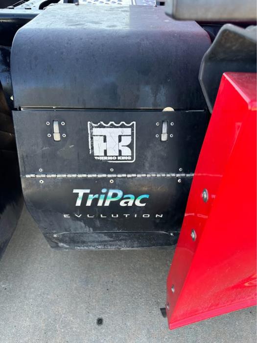 2019 Freightliner Cascadia-4