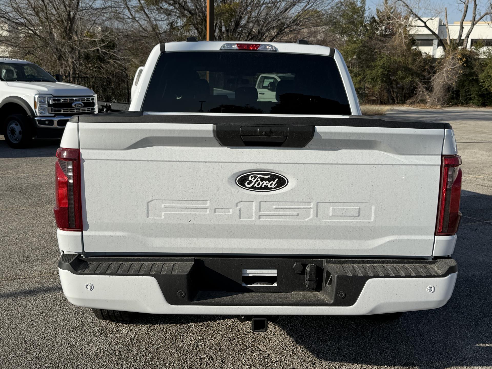 New 2025 Ford F-150 - photo 6