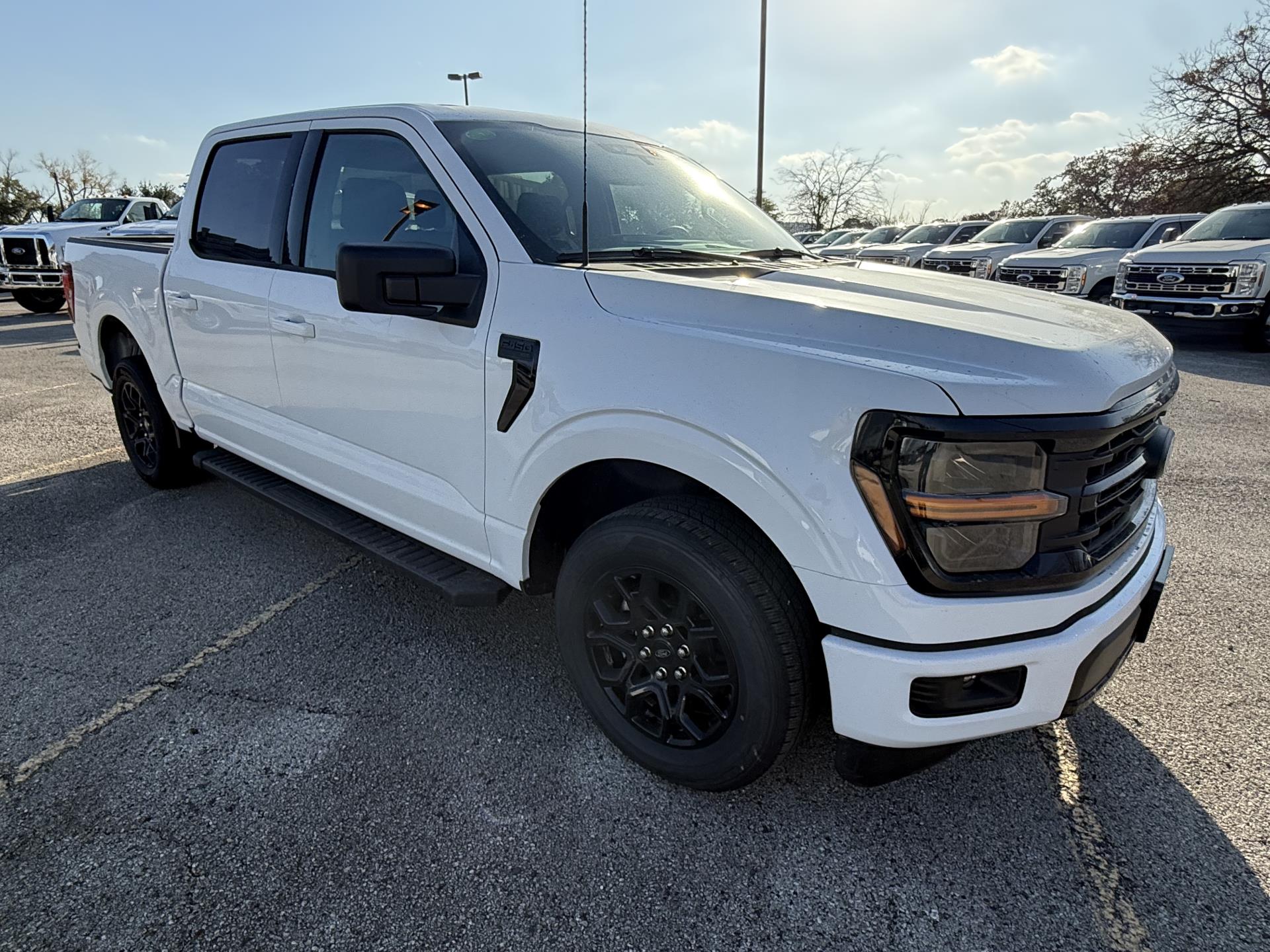 New 2025 Ford F-150 - photo 9