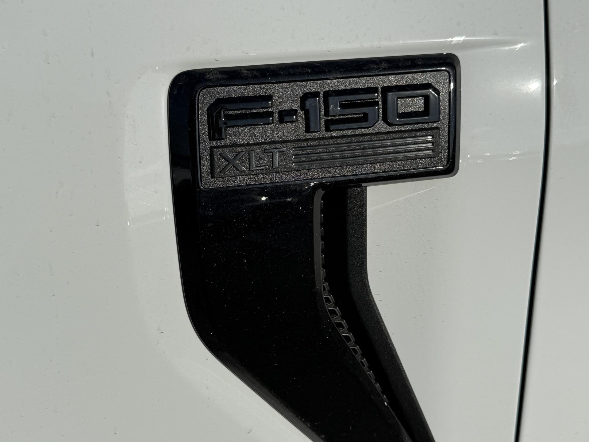 New 2025 Ford F-150 - photo 10