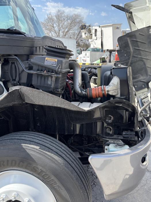 2019 International 4300-8