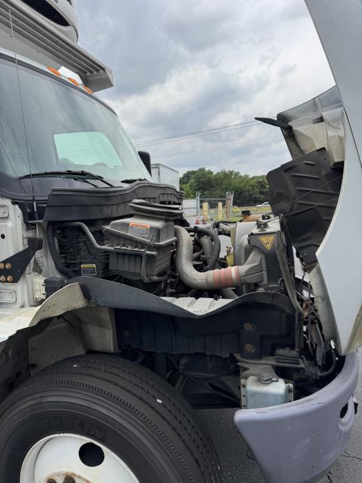2019 International MV607-9