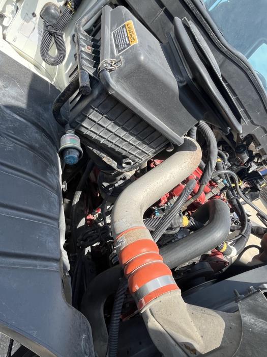2019 International 4400-6