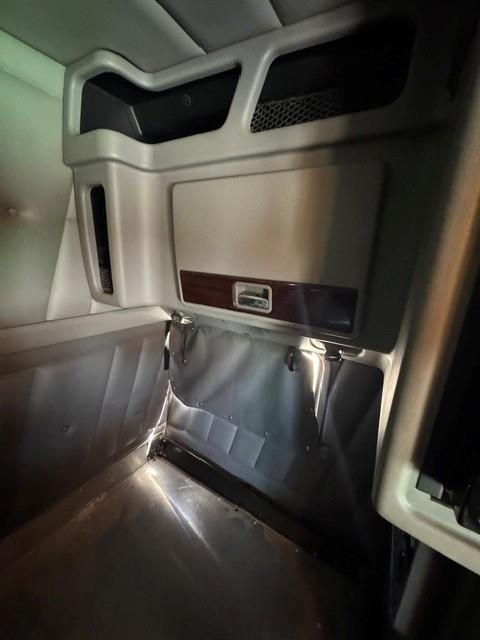2019 Peterbilt 389-21