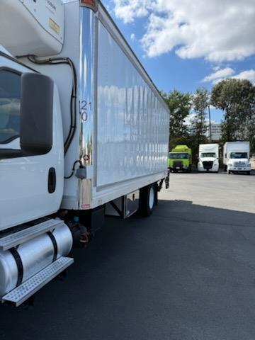 2019 International MV607-3